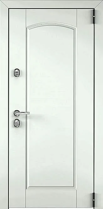 Входная дверь Argument-15 (МДФ Шпон / МДФ Филенчатый) - внешняя сторона